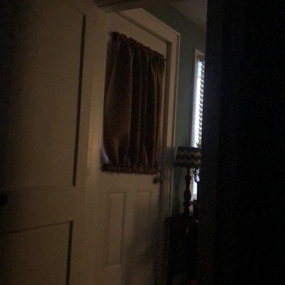 Meet your Posher, Dave - Picture 1 of 1